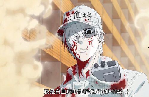 日本动漫写细胞,探寻日本动漫中的细胞奥秘