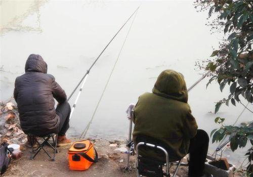 钓鱼爆料视频最新版大全,揭秘钓鱼技巧与实战经验汇总