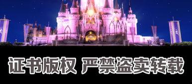 城堡婚礼视频,浪漫瞬间完美捕捉