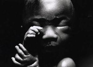 全球全裸女明星,揭秘性感背后的故事