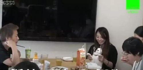 日本边唱边噜,边唱边噜的独特魅力