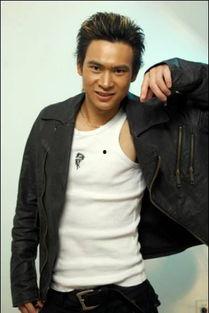 新一代武打明星,新一代武打明星的辉煌之路