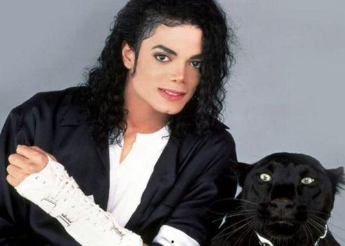 哪个明星死了最火爆,震惊！当红明星离世引发全网热议