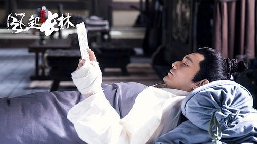 风起长林在线播放44,风云变幻，命运抉择！