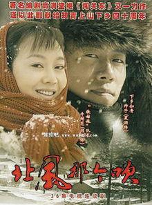 北风那个吹电视剧全集在线播放,重温经典，共度温馨时光