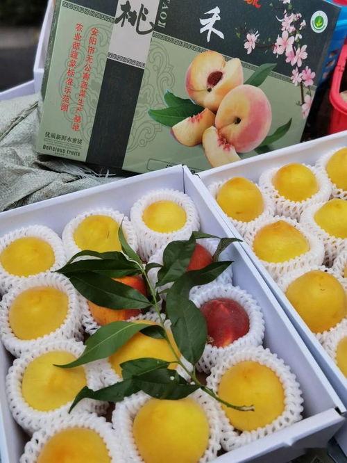 娱乐吃瓜制作,吃瓜群众必看的幕后故事